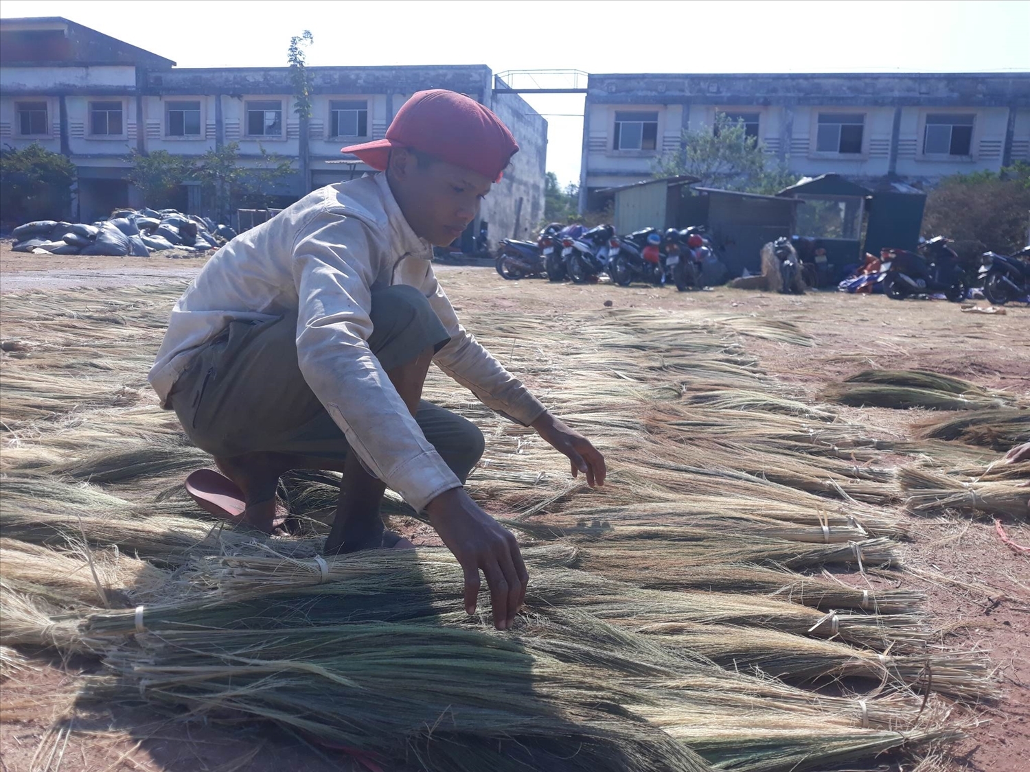 像其他许多劳动者一样，今年的粽叶芦季节也帮助了顼社布鲁-云乔族胡文仁先生拥有一份收入良好和稳定的工作。