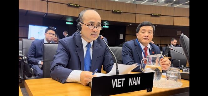 越南常驻国际原子能机构（IAEA）代表阮忠坚大使发表讲话。