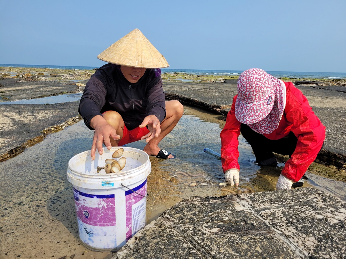 人民在白龙尾海岸捕捞海鲜。（图：秋黎）