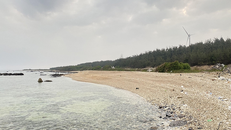 白龙尾岛县的海滩的荒野之美。（图：秋黎）