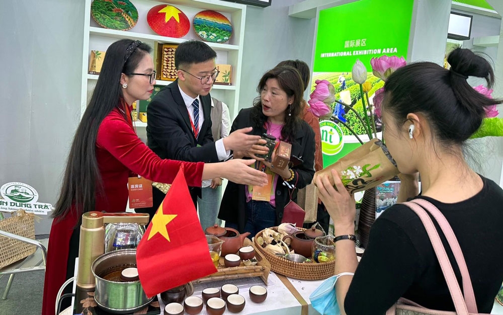 5家太原省茶叶合作社参加中国国际茶叶展