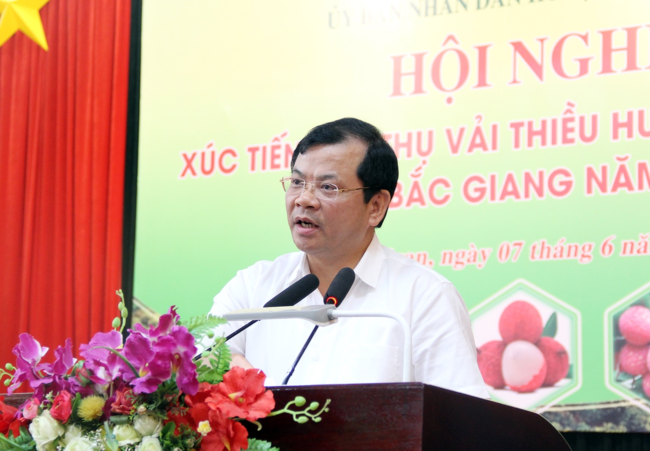 北江省人民委员会副主席潘势俊在会议上发言。