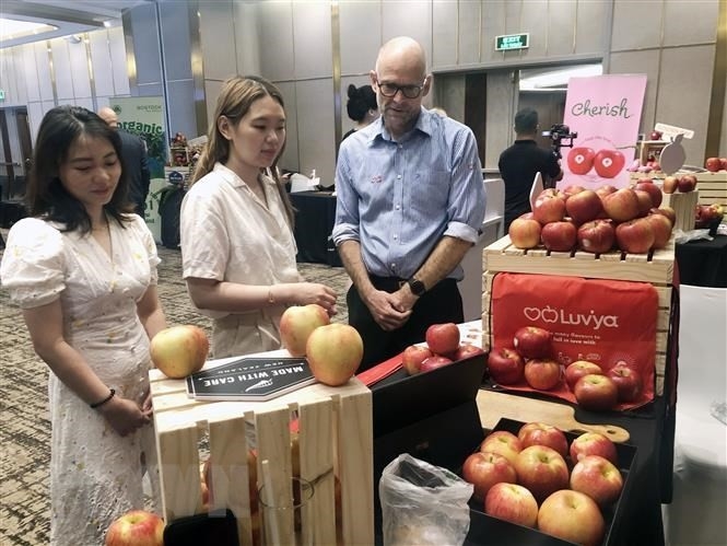 苹果和狐狸桃是新西兰对越南市场最大的出口产品之一。