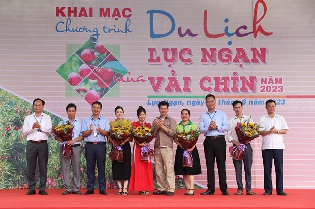 越南水果精髓——创亚洲纪录的越南特产