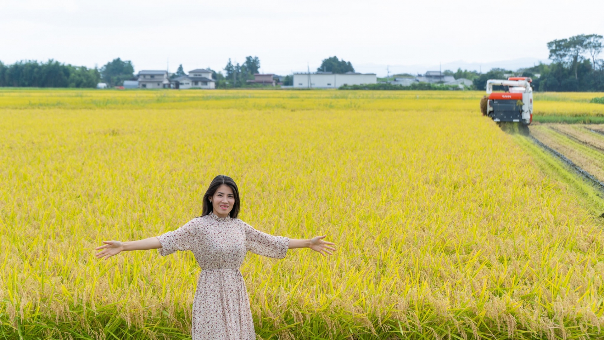 命运般的相遇一年多后，裴小姐前往日本结婚。 没想到婆家有一个多达50公顷的农业农场，其中40公顷专门种植水稻。