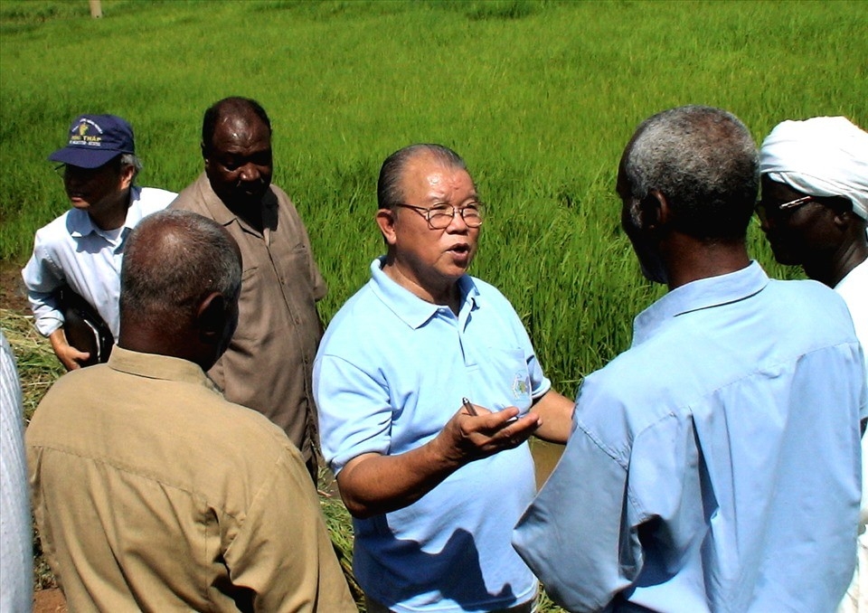 武从春教授、博士赴非洲指导人民种植水稻。（图：KT）