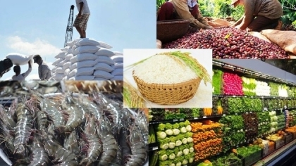 寻找措施推动越南农产品出口到荷兰和北欧市场