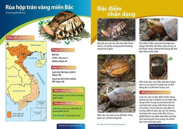 2022年越南陆龟和淡水龟识别指南问世。