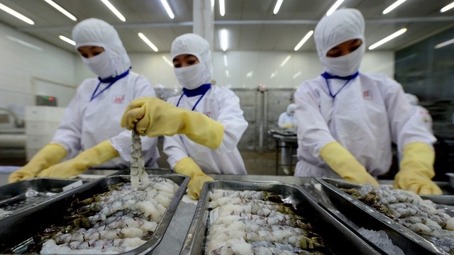 抓住机遇向中国出口虾和鱼