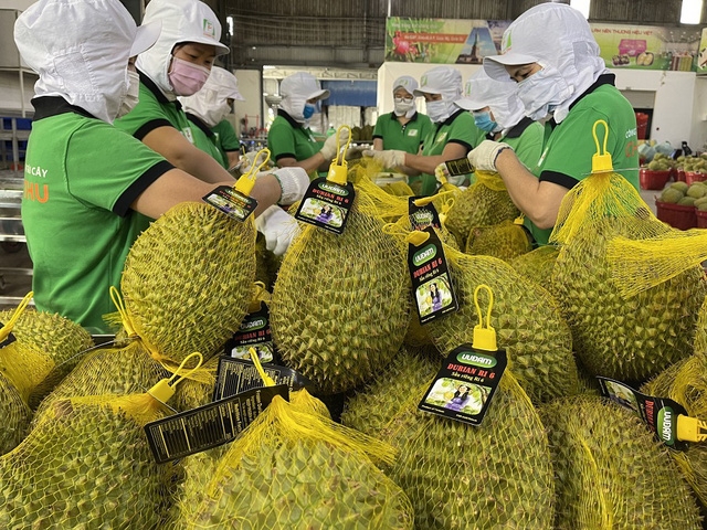 榴莲是获准进入中国市场的第10种水果。