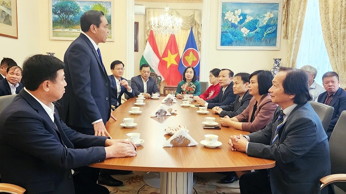 河静省领导对越南驻匈牙利大使馆进行工作访问