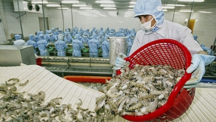 越南虾类对澳大利亚出口猛增