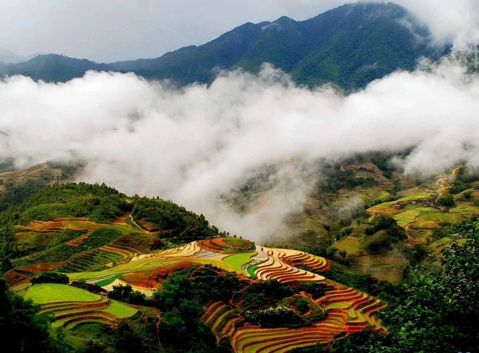 孟花（Mường Hoa）山谷位于老街省沙巴镇，这是一个美丽的山谷，以其丰富的文化遗产、宁静的风景和独特的登山体验而闻名