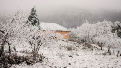 越南老街省雪景醉人 让游客流连忘返