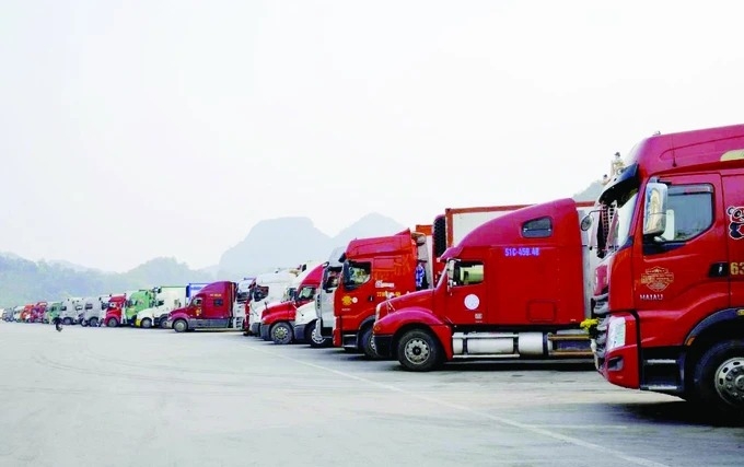 装载农产品的集装箱在谅山新青和友宜口岸等待清关至中国。