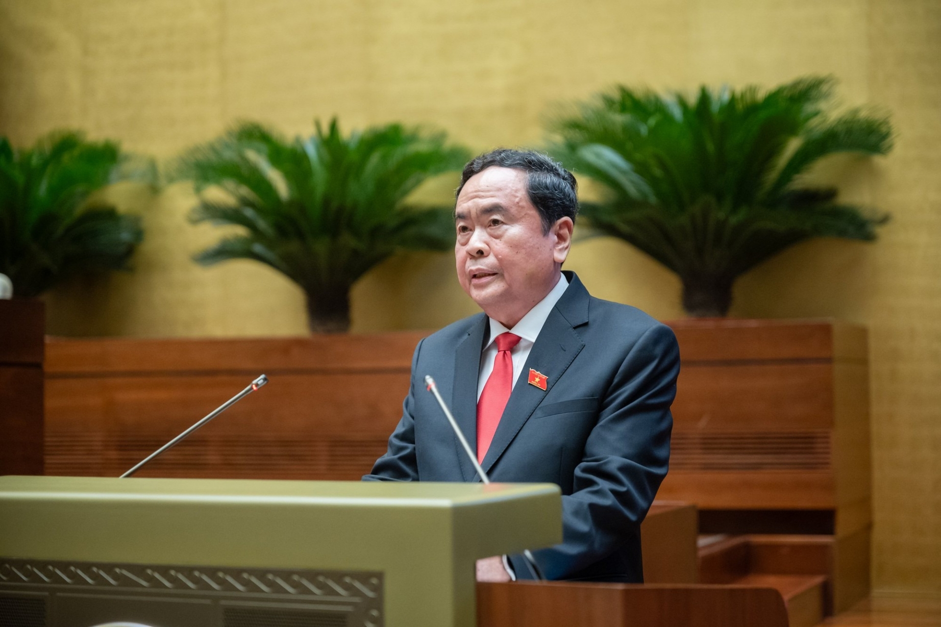 促进和深化越南与新加坡议会合作及战略伙伴关系