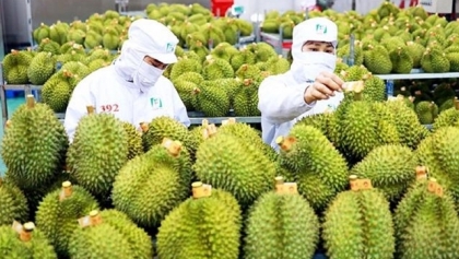 中方将推动越南农产品市场开放