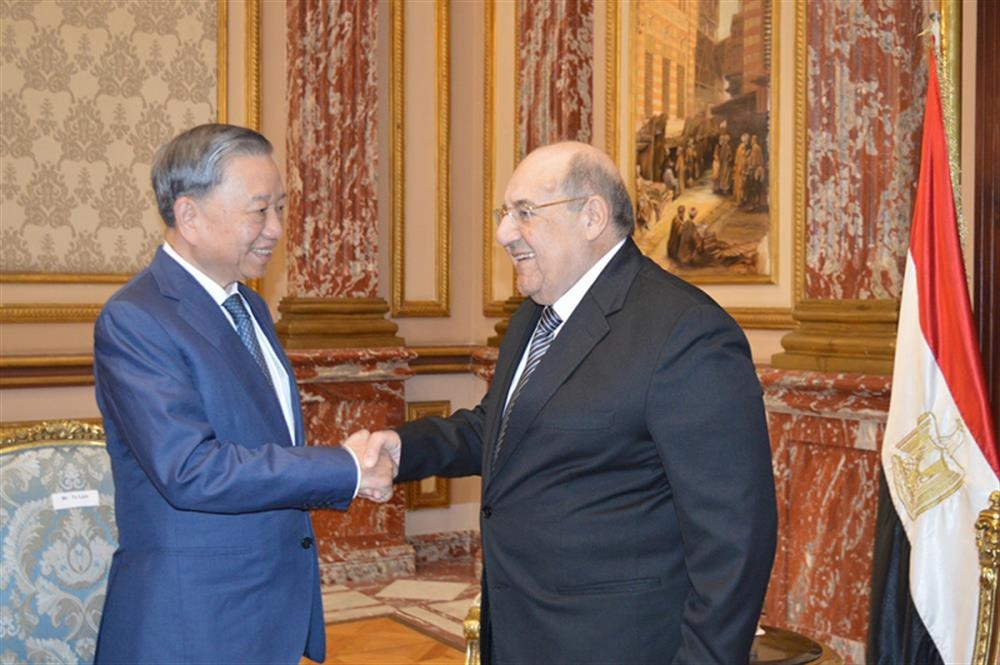 加强越南与埃及的友好合作关系