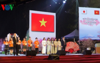 文化外交展现越南软实力