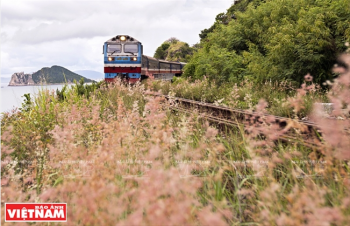 乘着火车游越南