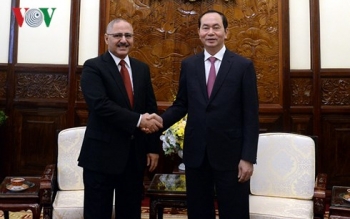 国家主席陈大光分别会见新加坡及埃及驻越大使