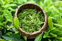 越南是台湾市场的最大茶叶进口货源