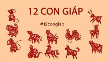 越南也有十二生肖，不过和中国有所不同，没有兔子却有猫