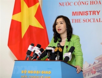 越南外交部发言人：保障越南船员的安全和权益