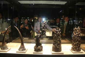 “历史中的越日贸易关系”展览会在顺化举行
