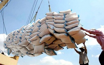 越南对中国的大米出口量猛增