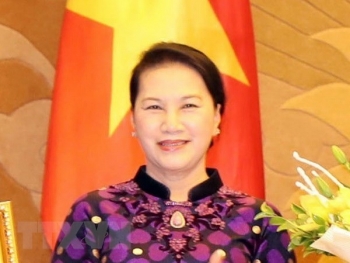 越南国会主席阮氏金银访问荷兰有助于进一步加强两国友好关系