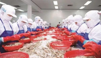 越南对中国海鲜出口下降44％