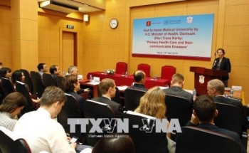 越南与丹麦举行关于预防非传染性疾病的座谈会