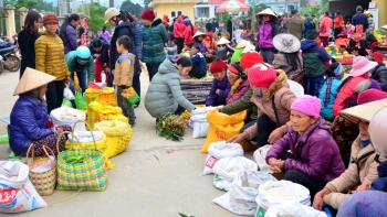 赴广宁省赶平辽集市