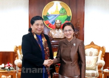 国会常务副主席丛氏放对老挝进行正式访问