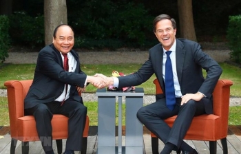 着力将越南与荷兰两国关系向纵深推进