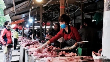 越南总理：坚决不让经济崩塌，下调猪肉价格