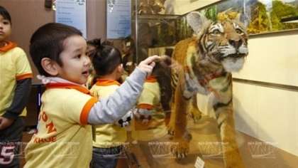 越南第一座自然博物馆