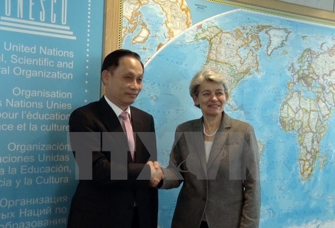 UNESCO总干事：越南是成功开展UNESCO各项活动的先行者和典范