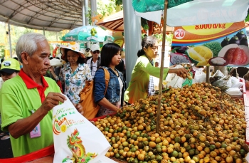 2017年美味安全果树和水果节在槟知省举行