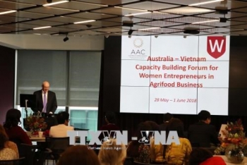 澳大利亚—越南论坛：提高女企业家能力的平台
