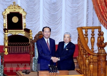 国家主席陈大光分别会见日本共产党主席与日本参议院议长