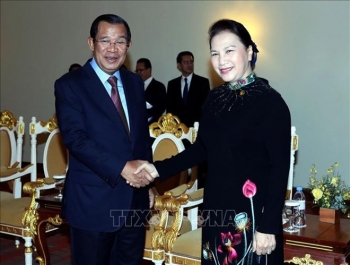 国会主席阮氏金银会见柬埔寨首相洪森