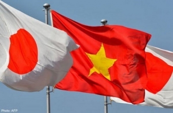 第5次越日环境政策对话在河内举行