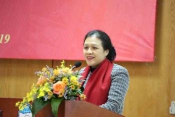 越南友好组织联合会新任主席阮芳娥的2019年新年贺词