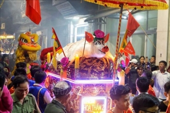河内市怀德县罗扶乡独特的“迎猪翁”仪式