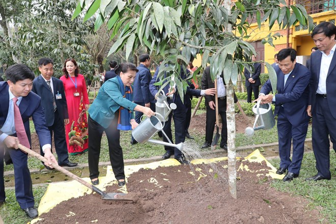 国会主席阮氏金银在胡志明主席遗迹区植树留念
