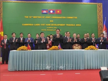 越南主持制定《CLV发展三角区贸易促进和便利化协定》行动计划