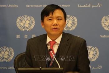 联合国安理会：越南呼吁加强青年领域的国际合作
