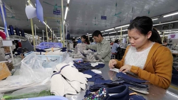 全球风险洞察网：EVFTA和EVIPA为越南经济提供更多收益来源